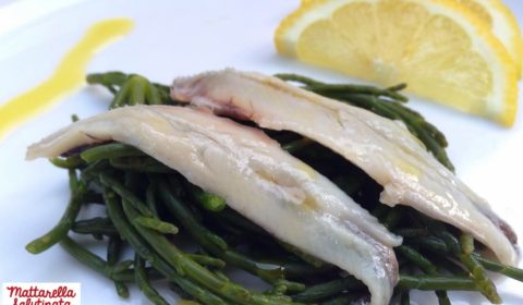 Asparagi di mare